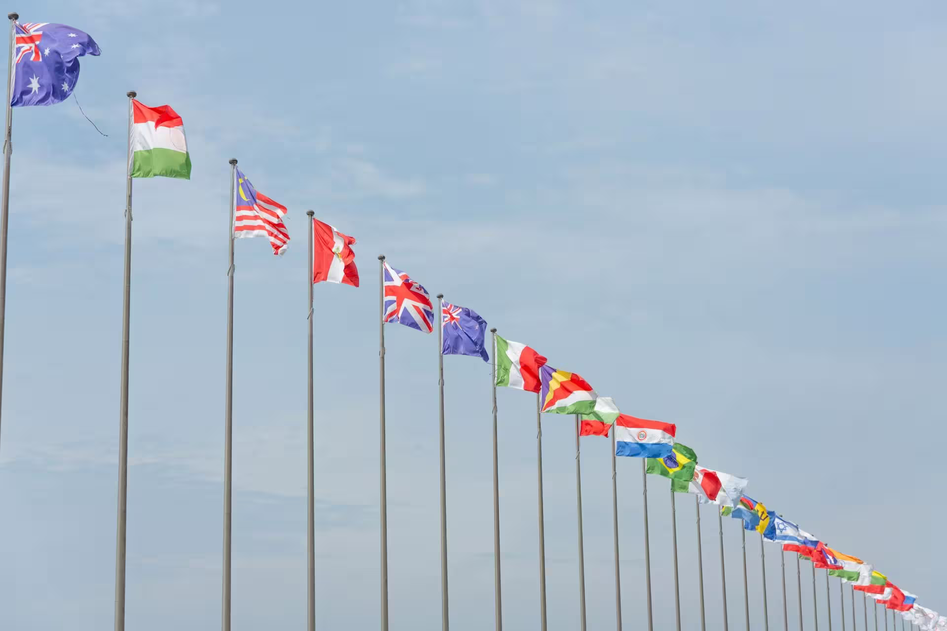 Hallederiz Labs Is Now Delivering Across Multiple Countries